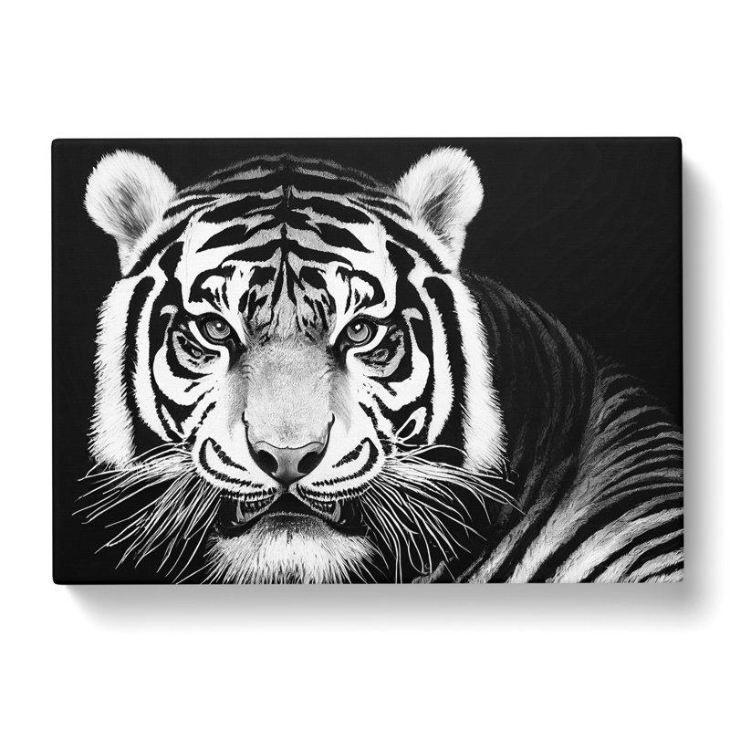 Monochrome Tiger Vol.4 - Wrapped Canvas, 40cm H x 60cm W x 3cm D