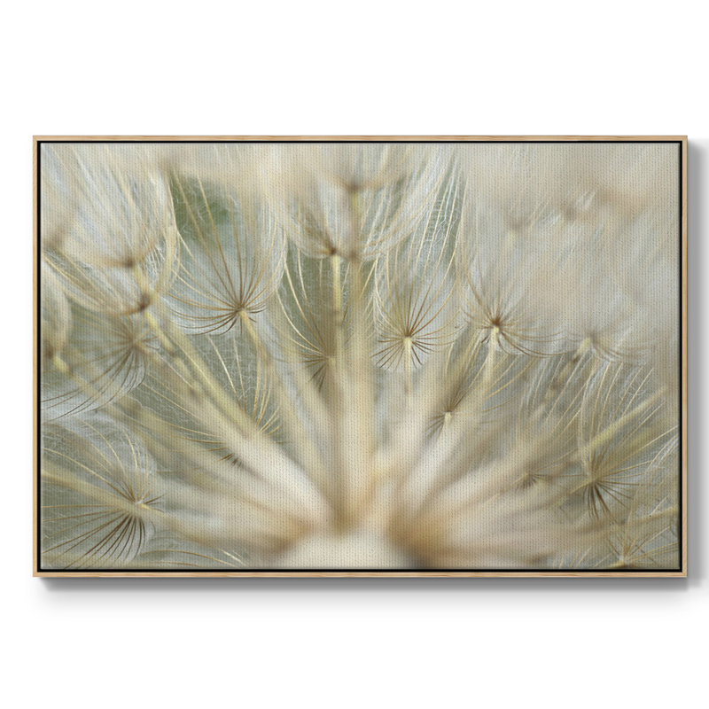 " Macro Dandelion IV ", Natural , 17" H x 25" W x 2" D