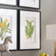 Ensemble de 4 fleurs murales botaniques