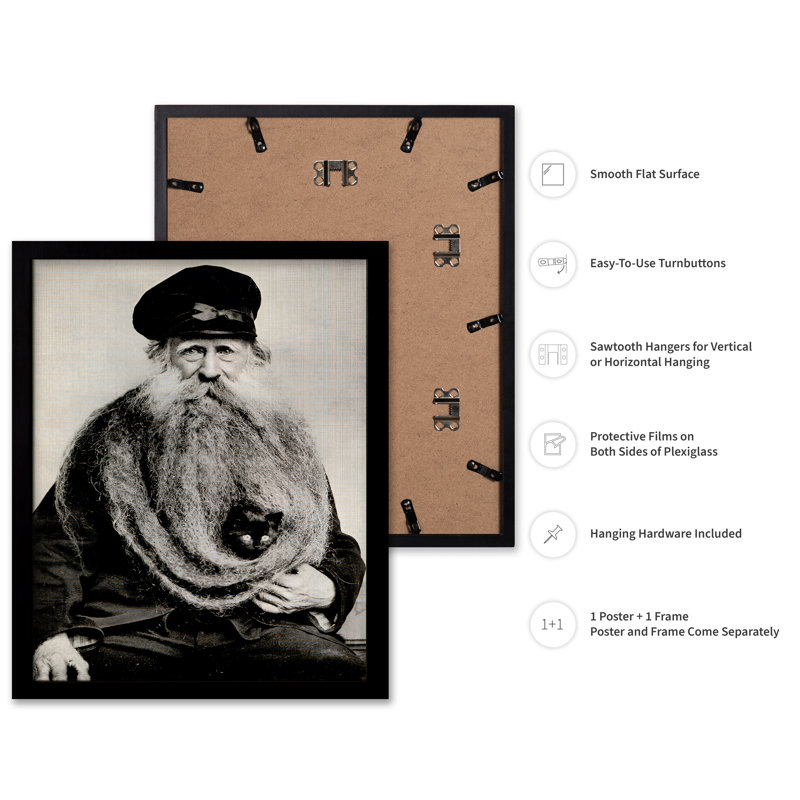 Chat en barbe, Cadre noir, Affiche, H 08 po x l 10 po