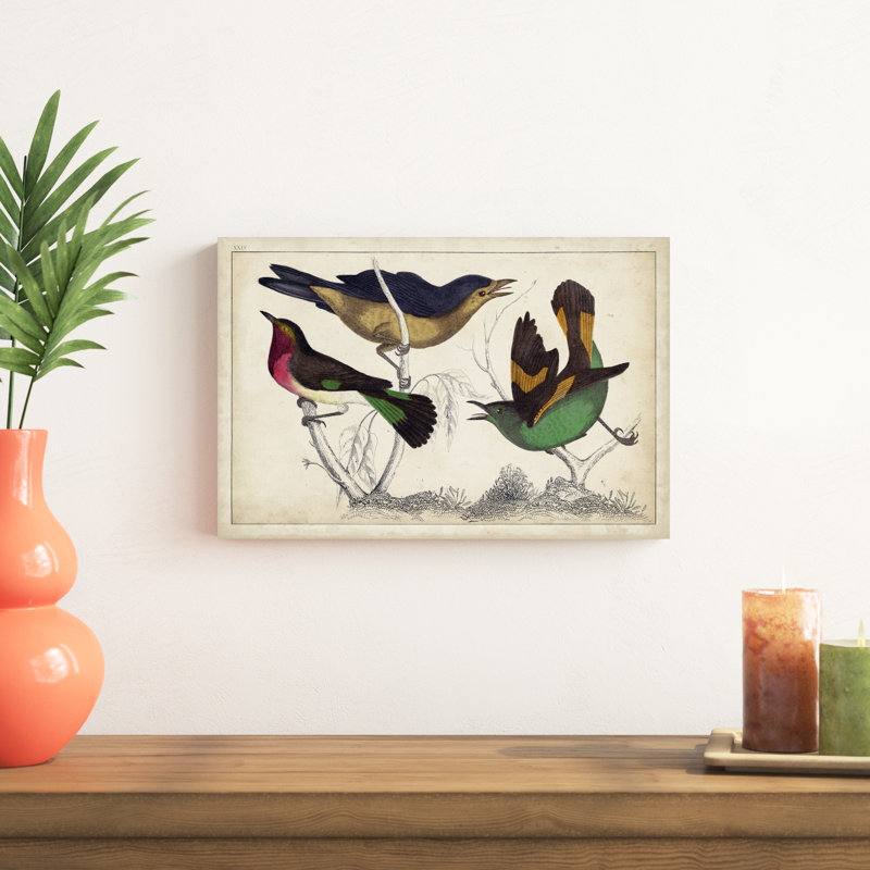 Tropical Bird Trio II - peinture sur toile tendue, H 12 po x l 18 po x P 1,25 po
