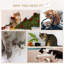Arbre à chat multi-niveaux Pawhut