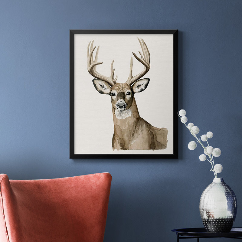 «Handsome Whitetail I», toile encadrée de qualité supérieure - prête à être accrochée, Noir, H 24 po x l 20 po