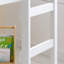 Chantey Single (3') Standard Loft Bed Bed-475710739