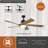 Darvis 60 in. Black Indoor Outdoor Rod Mount Contemporary Ceiling Fan with Dimmable Integrated LED Light Kit and Remote Control Included, 6 Speeds, Energy Efficient DC Motor-1773755614-1773755612