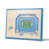 Detroit Lions
