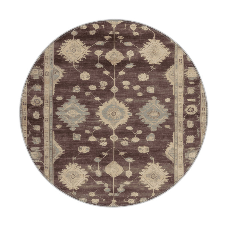 Overdyed Brown Indoor and Outdoor Area Rug, Round 5'