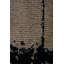 Black/Tan Abstract Luxury Area Rug-68861228