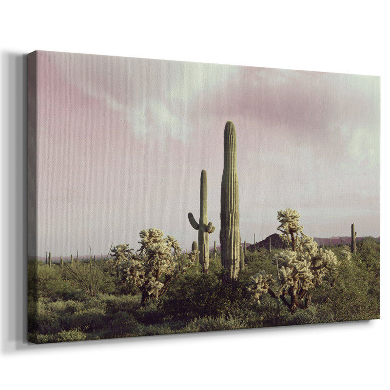 Orgue, tuyau, cactus, Monument national, galerie, Cavas, 12 x 18