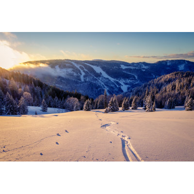 Brodi Backcountry Skiing - Wrapped Canvas Print