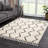 Adeeva Shaggy Performance Tasseled Cream/Black Area Rug-576438291