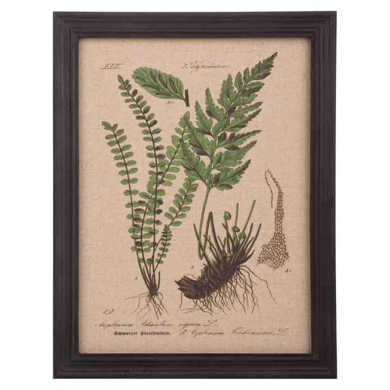 Single Picture Frame Print