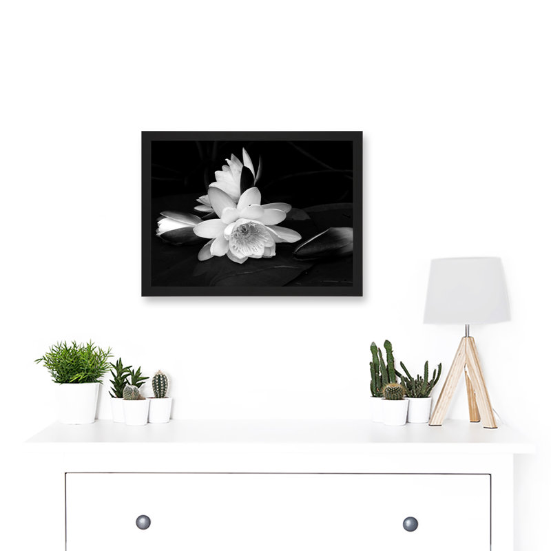 White Lilly Flower Bloom - Single Picture Frame Print