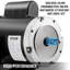 Nouveau moteur électrique 1Hp 140156C monophasé 56C cadre TEFC 115 / 230V 1800tr / min