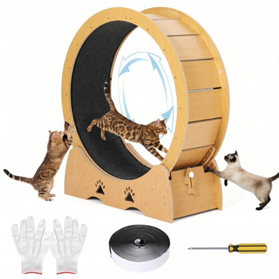 Roue d'exercice pour chat de 39,4 pouces, tapis de course à pied en bois pour chat avec tapis intérieur, roue à tapis amovible à faible bruit pour l'entraînement à la marche des chats