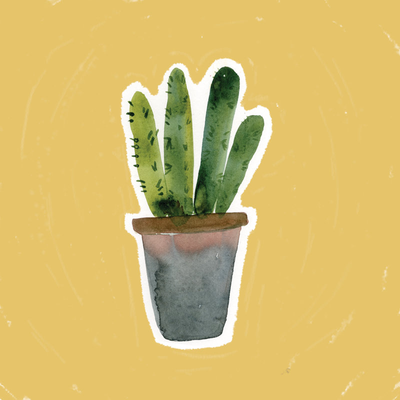 Bright Boho Potted Cactus Mustard 3 - Wrapped Canvas Painting, 76cm H x 76cm W x 3.8cm D