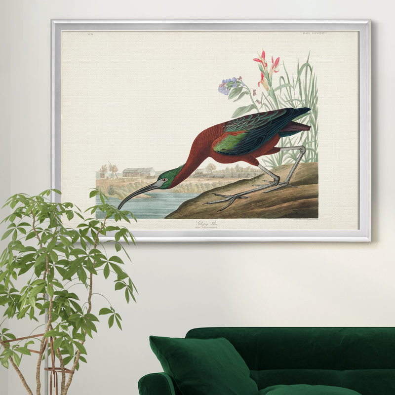 Glossy Ibis - Matted and Framed Under Acrylic Glass, Large Living Room Wall Art, 26.5" H x 36.5" W x 1.5" D, Silver