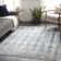Oriental Indoor Rug