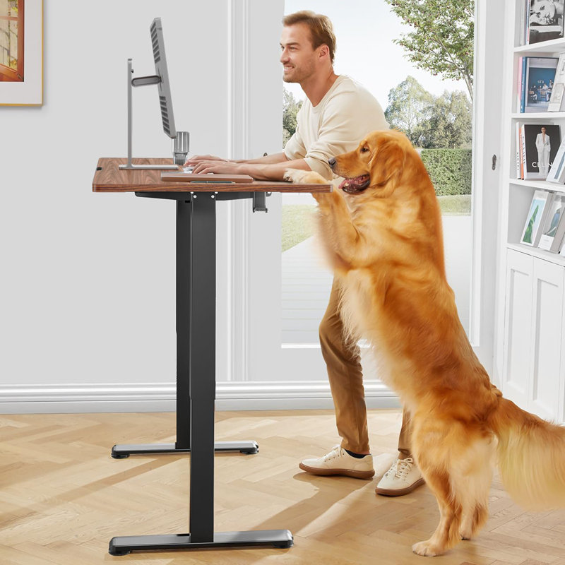 Maximous Adjustable Metal Base Accent, Espresso/Black