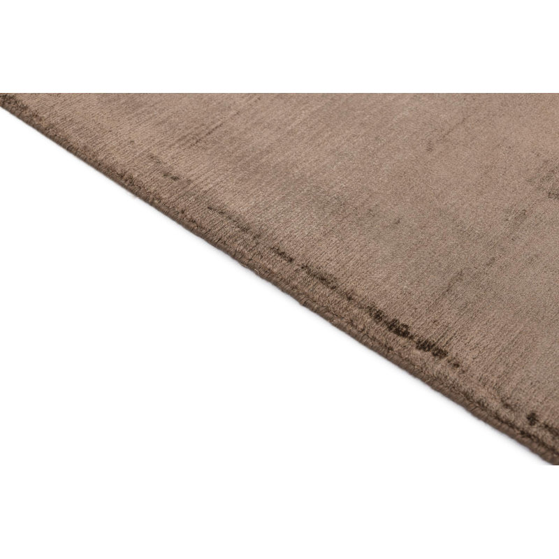 Iniguez Brown Rug