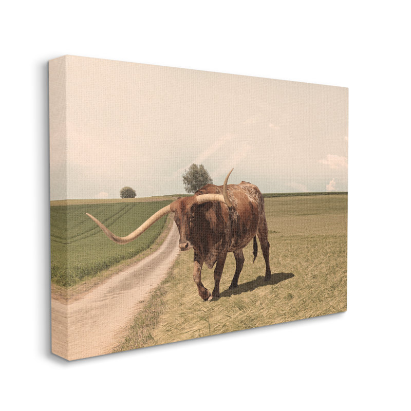 Longhorn Cattle Grazing Scenic Countryside Landscape by Marcus Prime - Print on Canvas, Wrapped Canvas