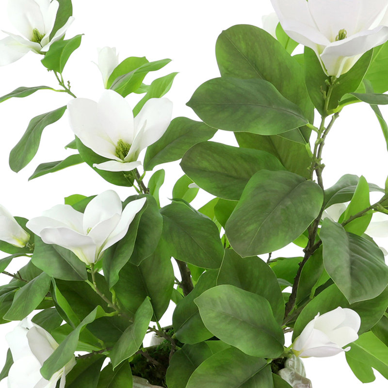 Real-Touch Magnolias dans un vase décoratif