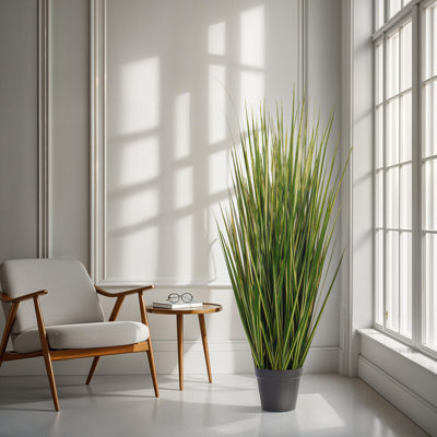 Herbe verte 60 po