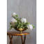 Radiant Aluminum Compote-1419979086