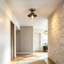 1 - Light Pendant