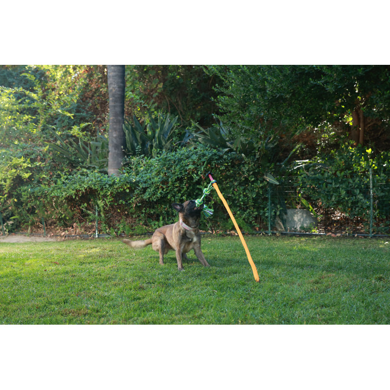 Remorqueur avec corde et balle - Jouet interactif pour chien pour l'agilité et l'exercice