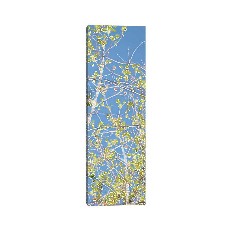 Spring Poplars III 1 Piece Wrapped Canvas Panoramic Wall Art, 30.48 cm H x 91.44 cm W x 1.91 cm D