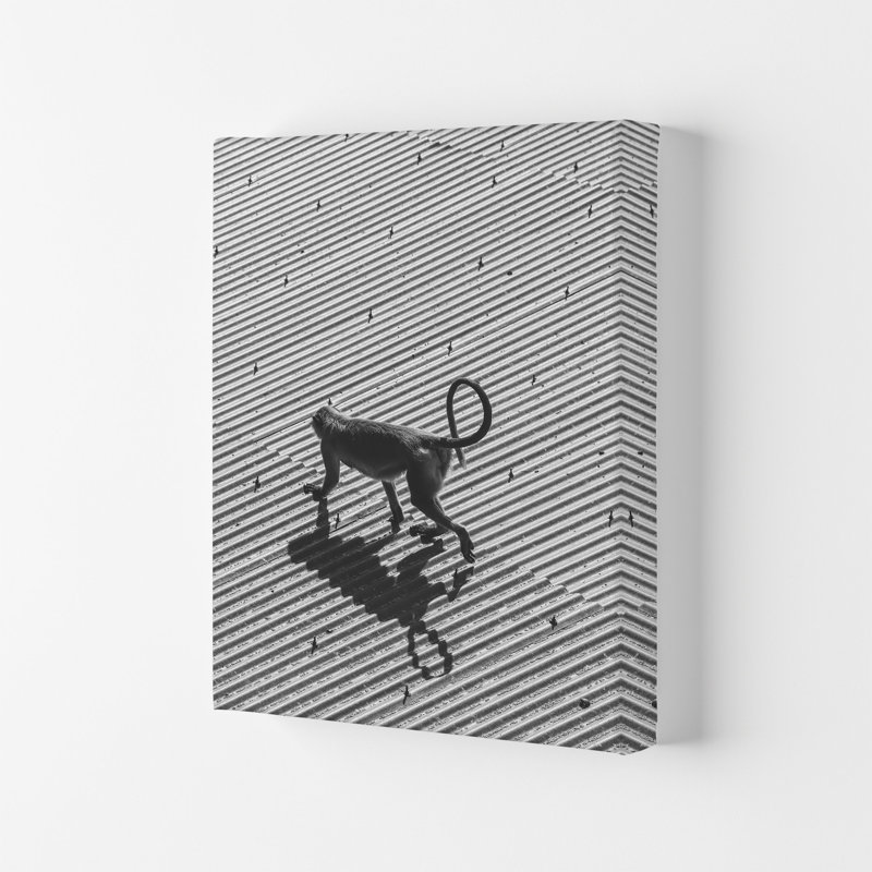 Monkey Buisness 1 Piece Wall Art, 59.4cm H x 42cm W x 4cm D, Wrapped Canvas