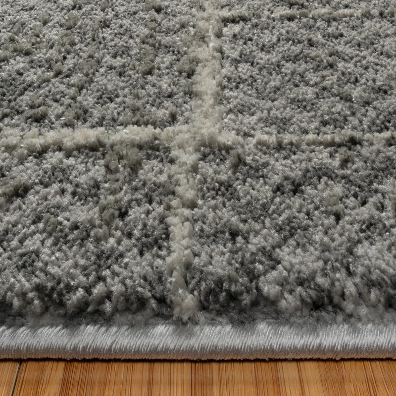 Trevi Zalo Gray Abstract Rectangular Polyester Area Rug