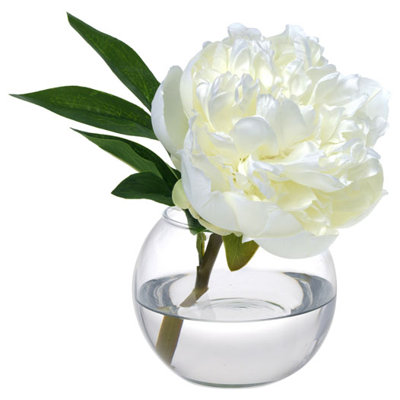 Peony Blossom in Glass Vase