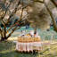 Nappe Dyess Olive Tree-107096889-107096890