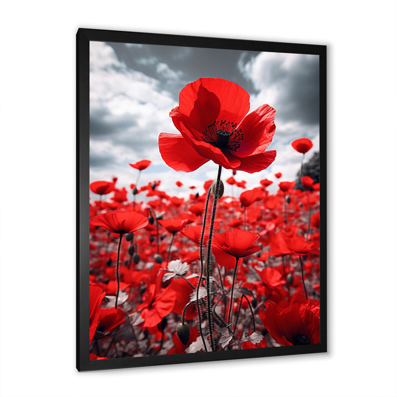 Weixel Flower Field Scarlet Symphony I - impression, Cadre photo noir, H 20 po x l 12 po x P 1 po