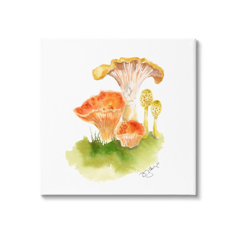 Mélange d'aquarelle de champignons sur toile, H 17 po x l 17 po x P 1,5 po
