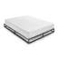 Carliee Metal Bed-898644382