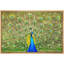 Animaux, paon néon vibrant-93629199-93629200