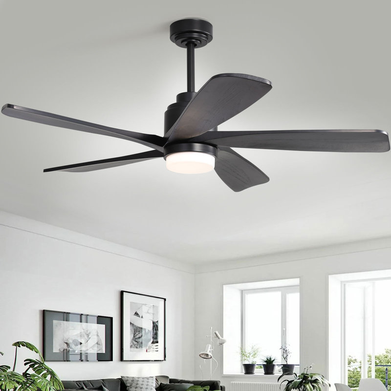 Damecia 52'' Ceiling Fan with LED Lights, Black