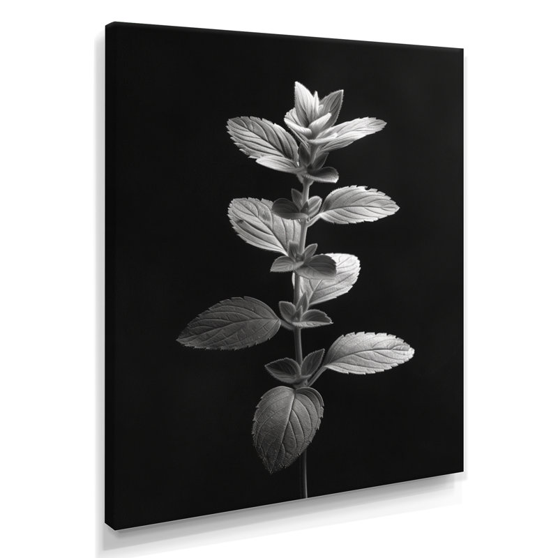 Élégante silhouette gris eucalyptus monochrome I - Eucalyptus, art mural, art mural, salon, Toile tendue, H 44 po x l 34 po