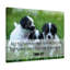 God Love His Brother 1 John 4:21 - Wrapped Canvas Print-1683791676