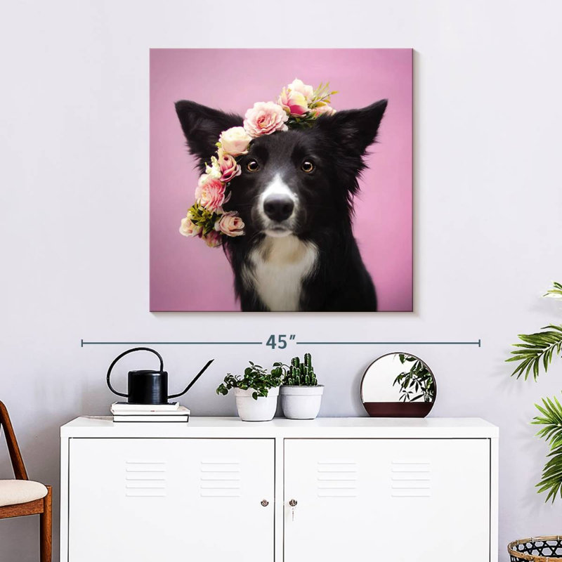 Border collie à fleurs Crowle, H 30 po x l 30 po