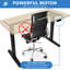 Bureau assis-debout électrique avec plateau Mount-it, érable noir-125117534