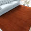 Hand Knotted Area Rug in Rust-1071664325