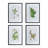 Set Of 4 Botanical Black And White Fern Wall Art , Wall Decor For Living Room Dining Room  Entryway, 20" X 28"