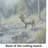 Mountain Stream Elk Glass Cutting Board
