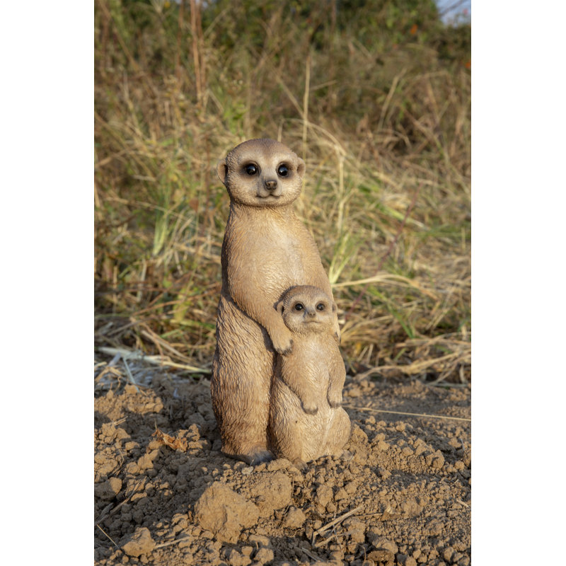 Mother and Baby Meerkat