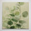 Eucalyptus Foliage Green Wall Art - Canvas Framed Print-704861121