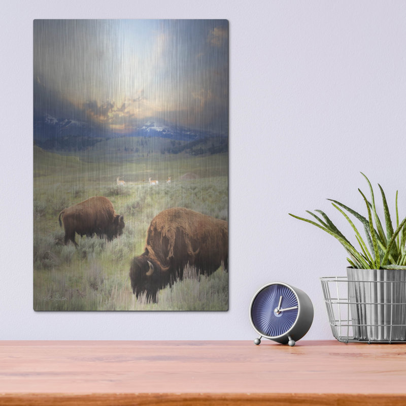 «Great American West» par Lori Deiter, H 16 po x l 12 po